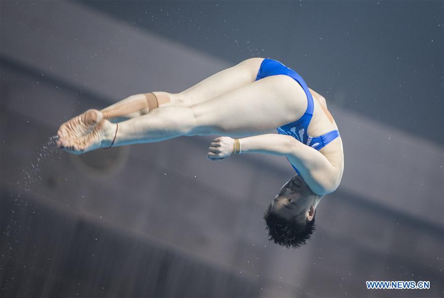 (SP)CHINA-WUHAN-DIVING-FINA-WORLD CUP (CN)