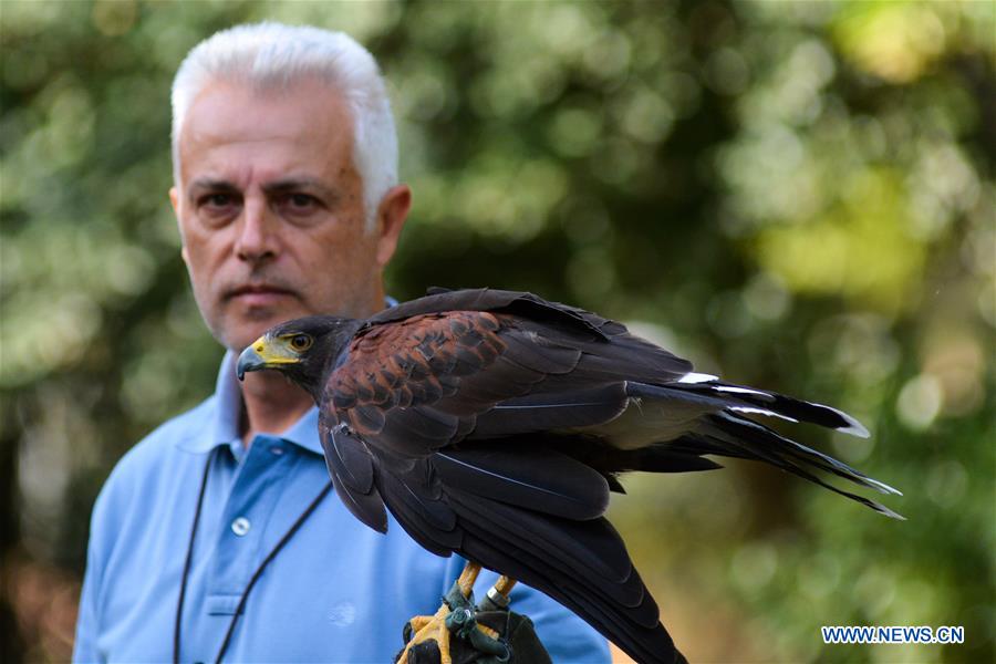 GREECE-LARISSA-HAWK TRAINING