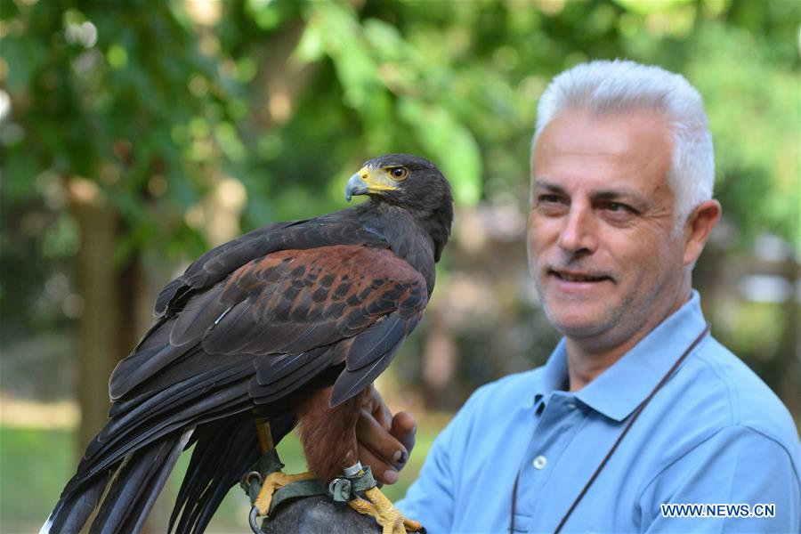 GREECE-LARISSA-HAWK TRAINING