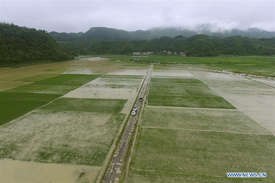 #CHINA-WATERLOGGING-WARNING (CN)