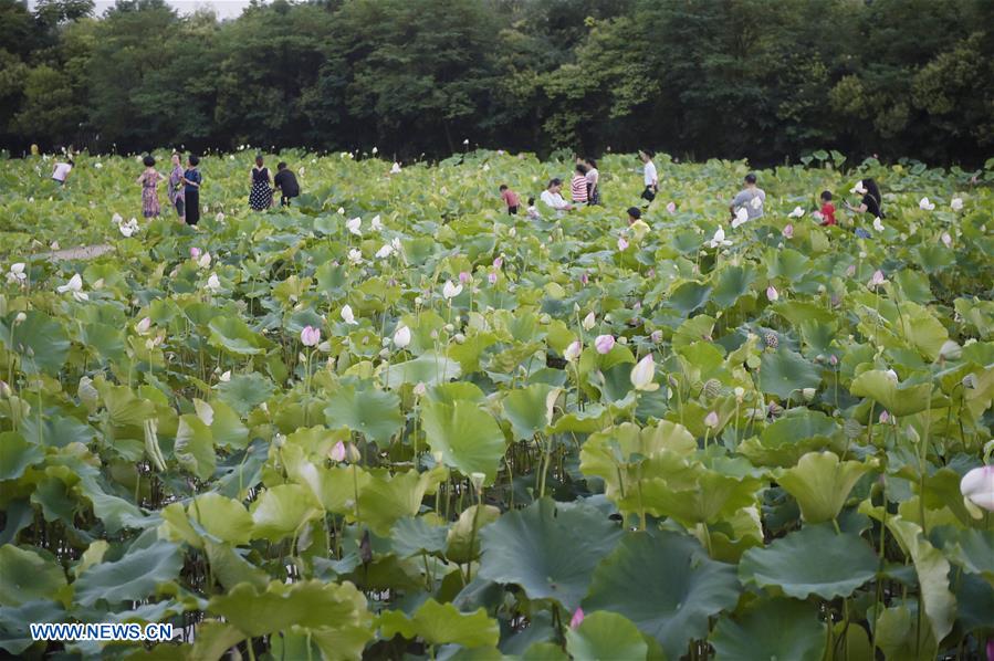 CHINA-GUIYANG-PARK (CN)