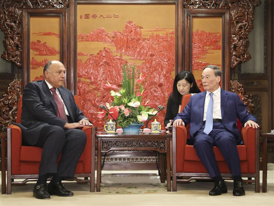 CHINA-BEIJING-WANG QISHAN-EGYPT-FM-MEETING (CN)