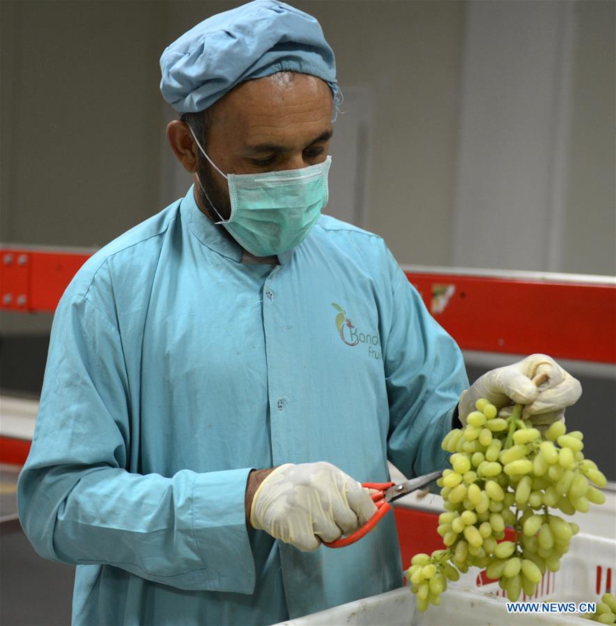 AFGHANISTAN-KANDAHAR-GRAPE PROCESS FACTORY