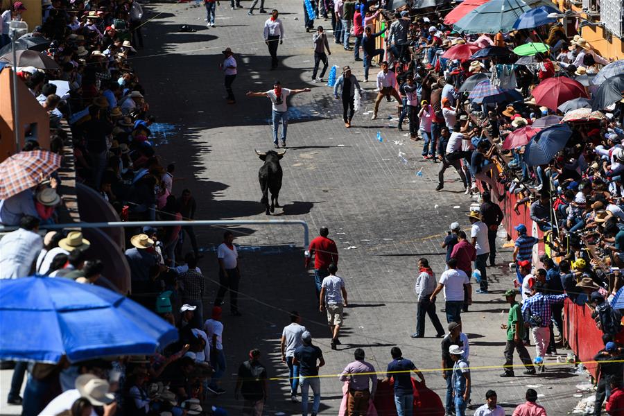 MEXICO-TLAXCALA-BULL-RUN