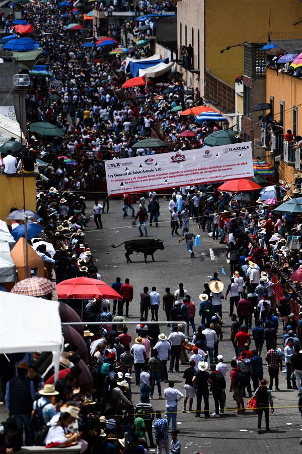 MEXICO-TLAXCALA-BULL-RUN