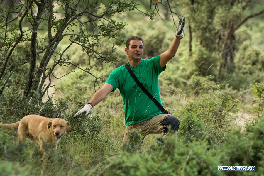 GREECE-TRIKALA-TRUFFLE HUNTING