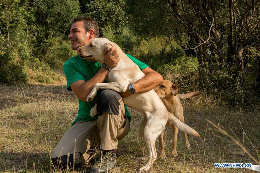 GREECE-TRIKALA-TRUFFLE HUNTING