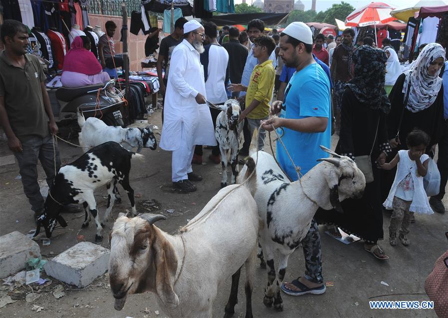 Jama masjid 2024 pet market