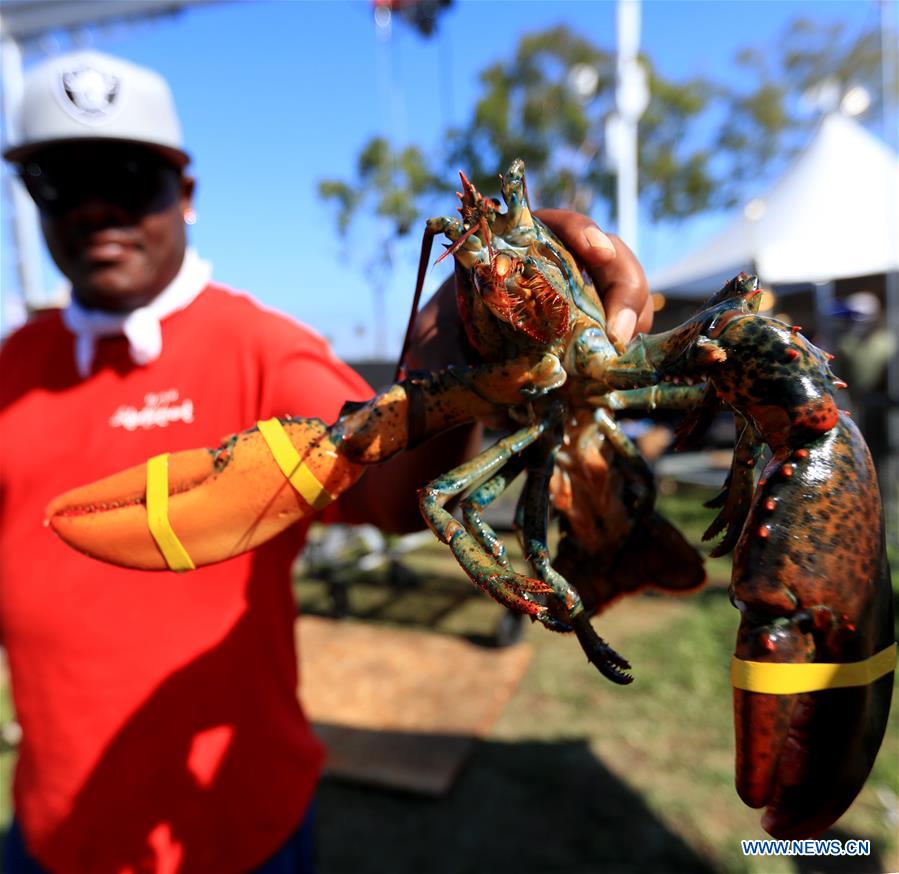 Long Beach Lobster Festival marked in LA Xinhua English.news.cn