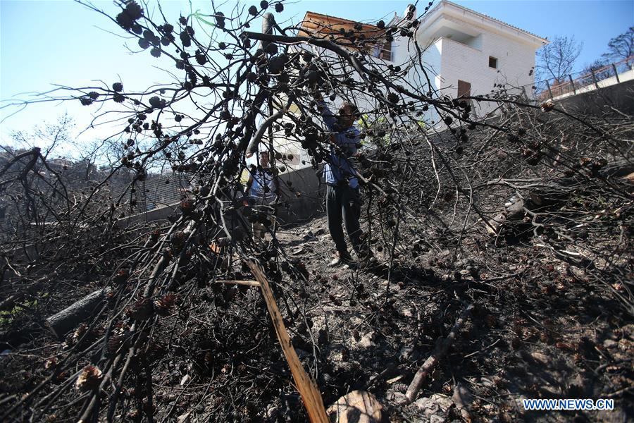 GREECE-MATI-WILDFIRE-TWO MONTHS