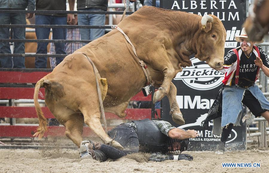 (SP)CANADA-MARKHAM-RODEO