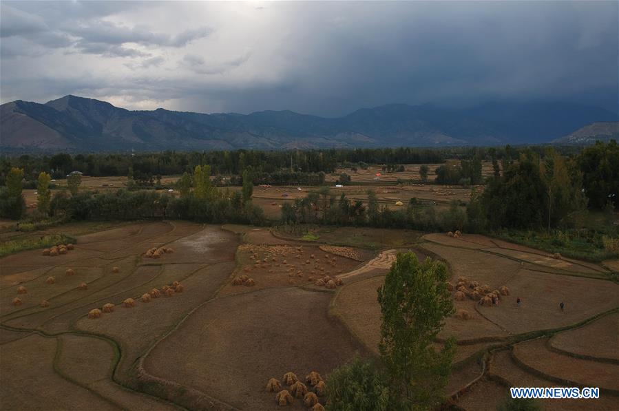 KASHMIR-SRINAGAR-DAILY LIFE