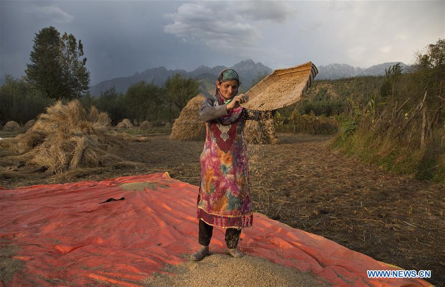 KASHMIR-SRINAGAR-DAILY LIFE