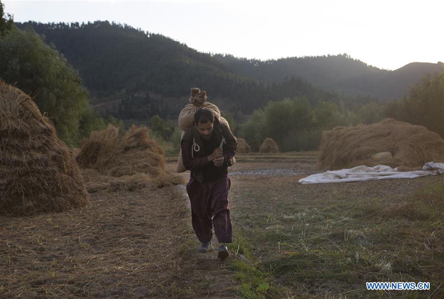 KASHMIR-SRINAGAR-DAILY LIFE