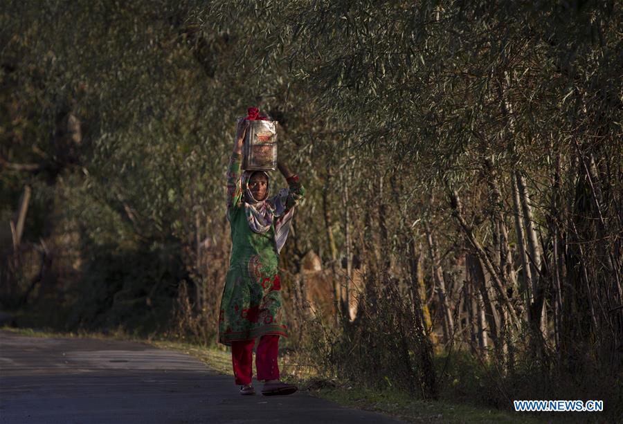 KASHMIR-SRINAGAR-DAILY LIFE