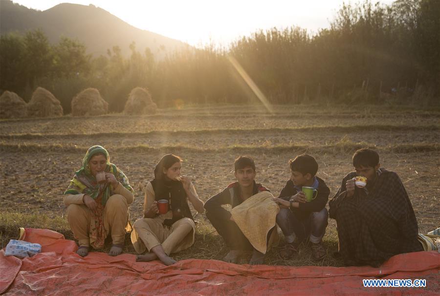 KASHMIR-SRINAGAR-DAILY LIFE