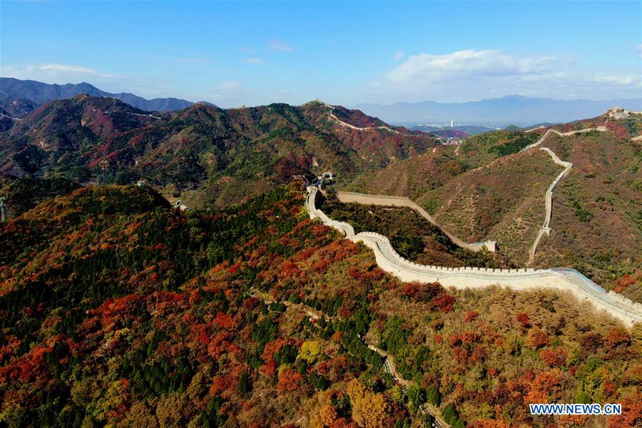 #CHINA-BEIJING-GREAT WALL-RED LEAVES(CN)