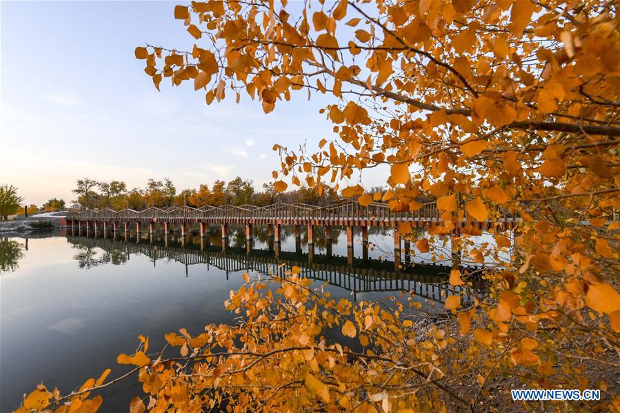 CHINA-XINJIANG-AUTUMN-SCENERY (CN)