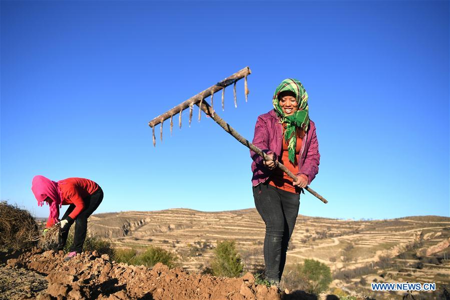 CHINA-GANSU-WEIYUAN-CHINESE HERBAL MEDICINE (CN)