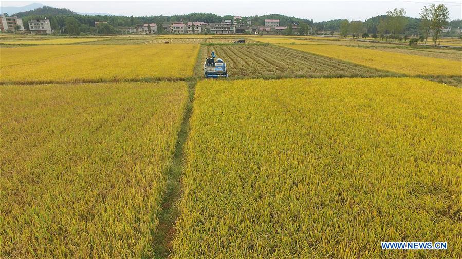 CHINA-JIANGXI-NANCHANG-CHARACTER STORY IN AGRICULTURE (CN)
