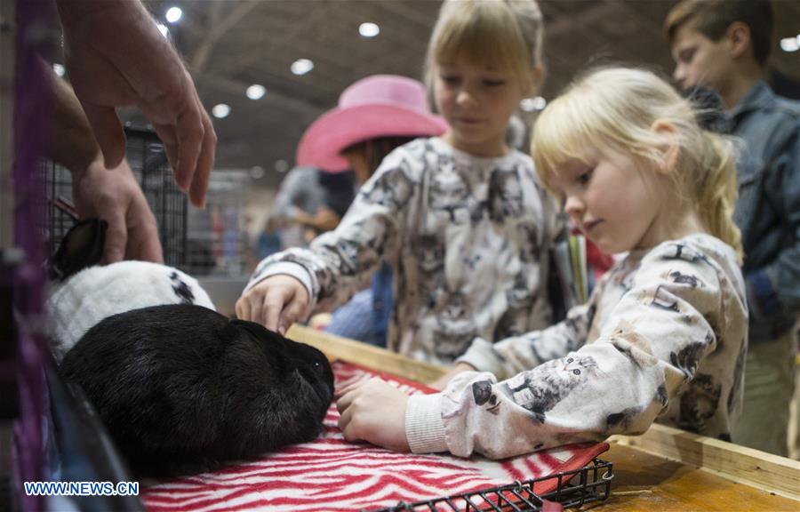 CANADA-TORONTO-ROYAL AGRICULTURAL WINTER FAIR