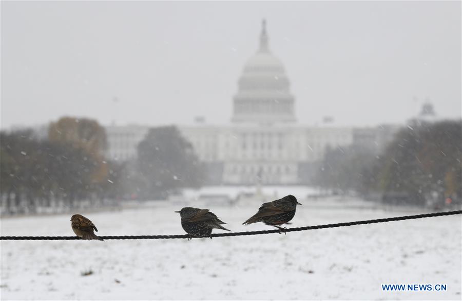 U.S.-WASHINGTON D.C.-SNOW