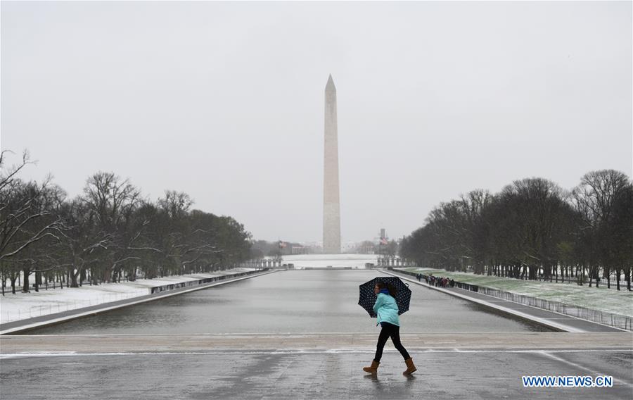 U.S.-WASHINGTON D.C.-SNOW