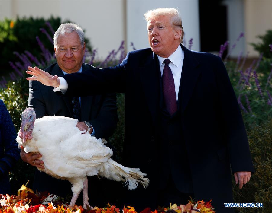 U.S.-WASHINGTON D.C.-TRUMP-THANKSGIVING TURKEY PARDONING CEREMONY