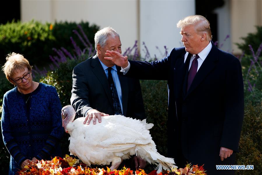trump pardons 2 turkeys in annual thanksgiving tradition