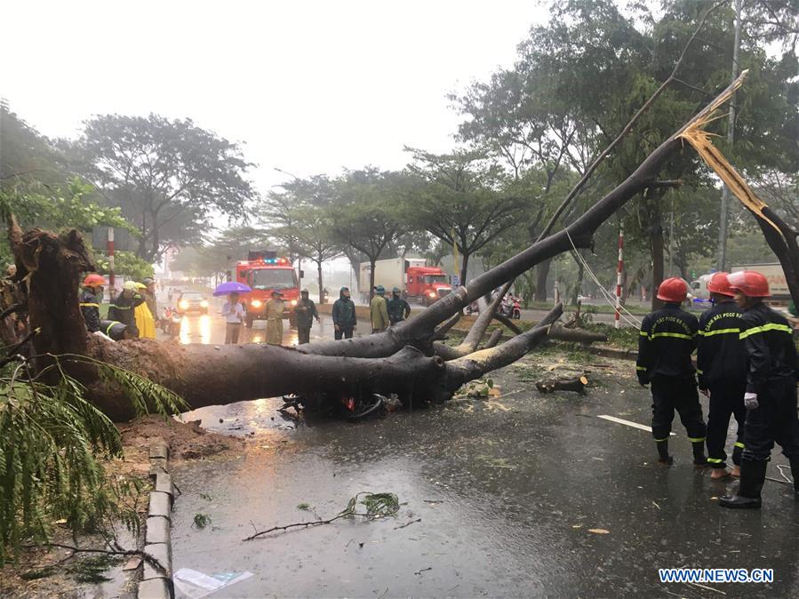 VIETNAM-TYPHOON USAGI-DAMAGES