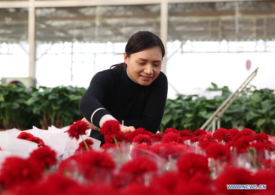 #CHINA-HEBEI-FLOWER INDUSTRY (CN)