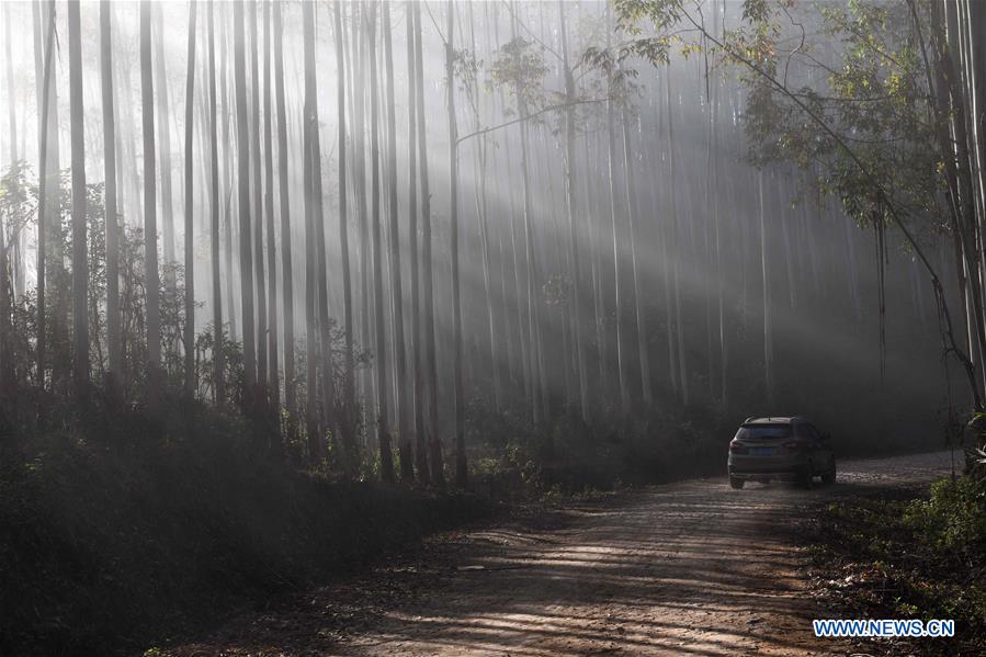 CHINA-YUNNAN-LANCANG-SCENERY (CN)