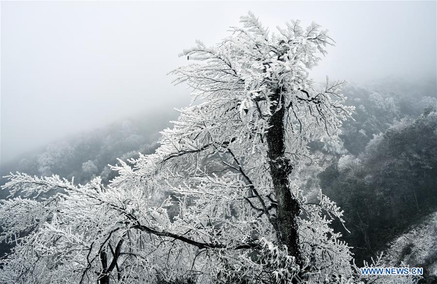 #CHINA-HUBEI-SNOW (CN)