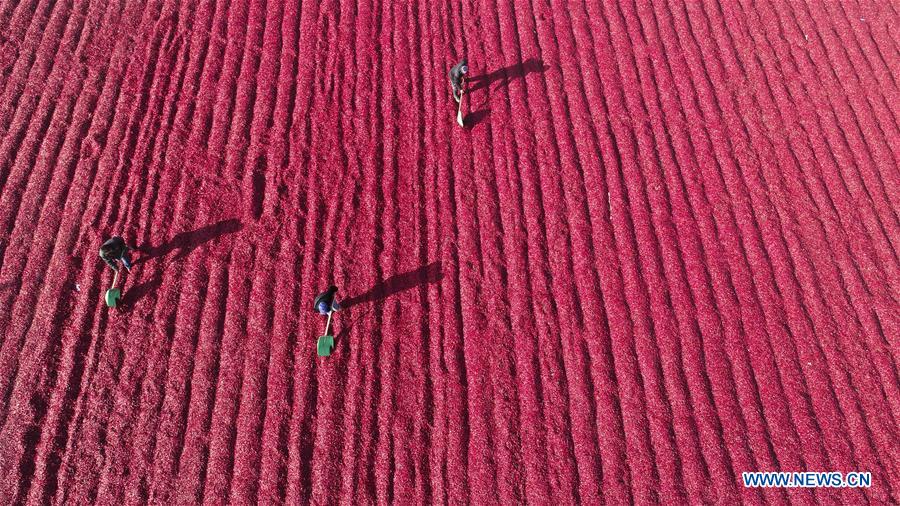 CHINA-COLOR-DRONE PHOTOS OF THE YEAR (CN)