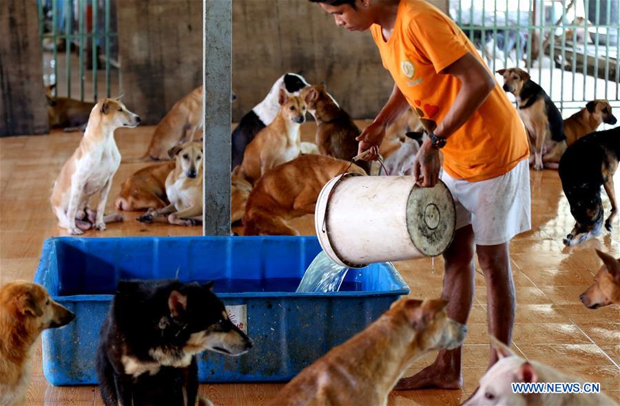 MYANMAR-YANGON-ANIMAL SHELTER