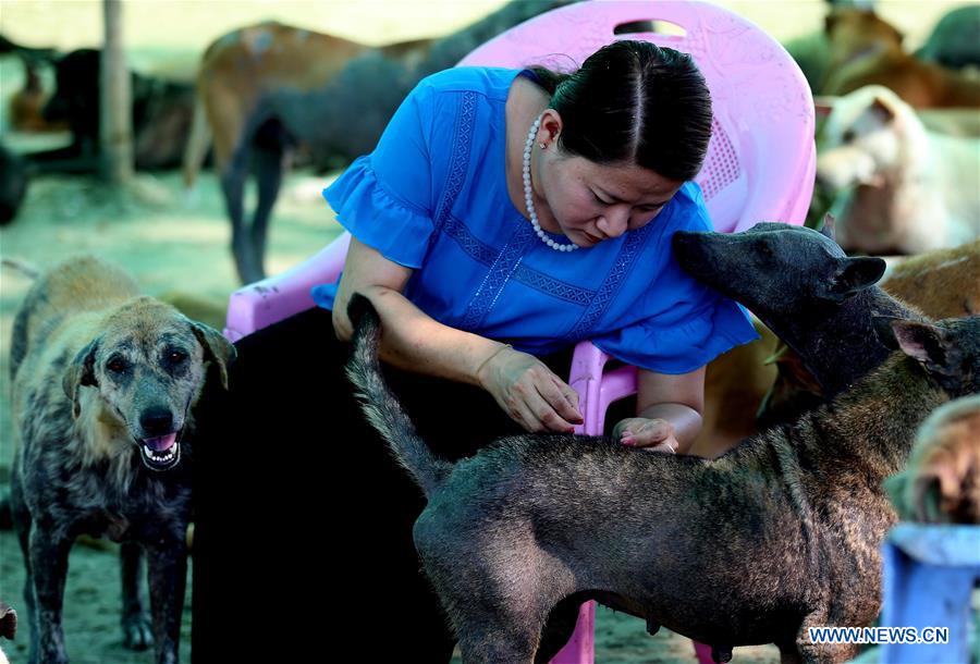 MYANMAR-YANGON-ANIMAL SHELTER