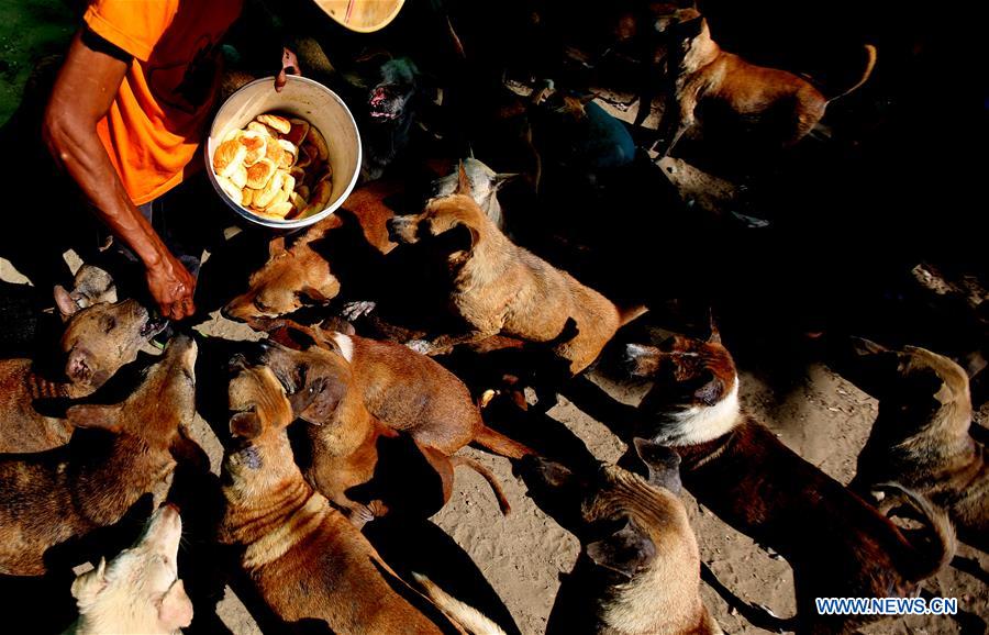 MYANMAR-YANGON-ANIMAL SHELTER