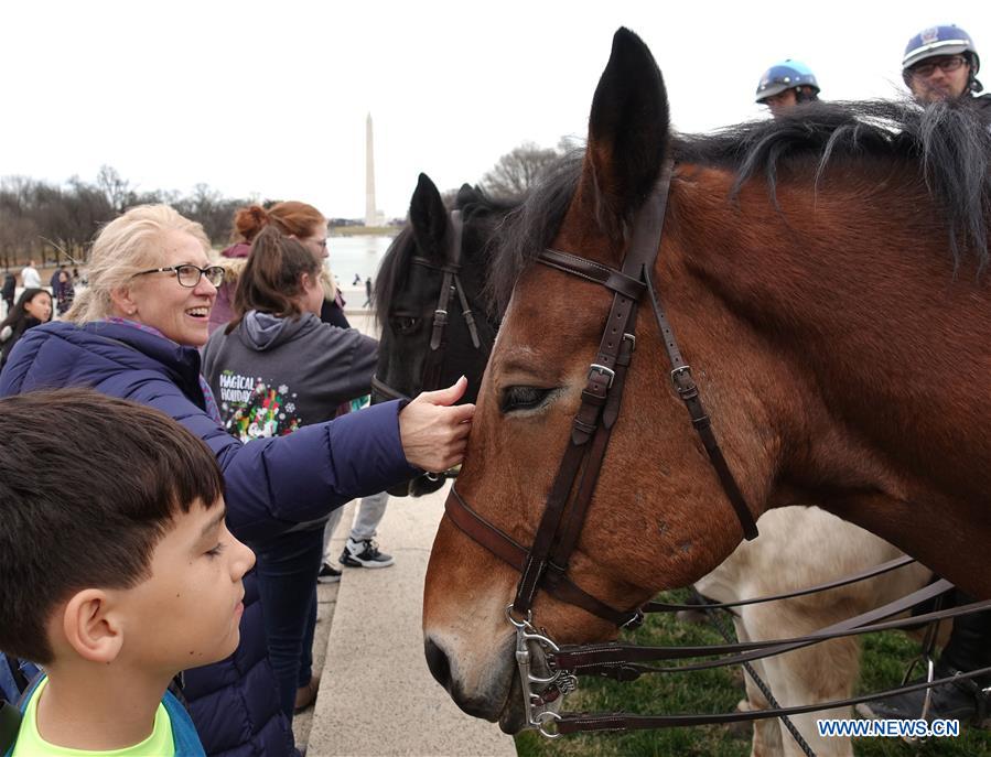 U.S.-WASHINGTON D.C.-MOUNTED POLICE