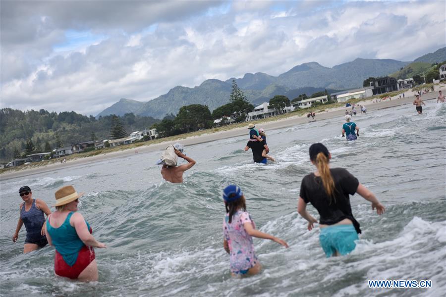 NEW ZEALAND-COROMANDEL PENINSULA-WHANGAMATA-HAUTURU ISLAND