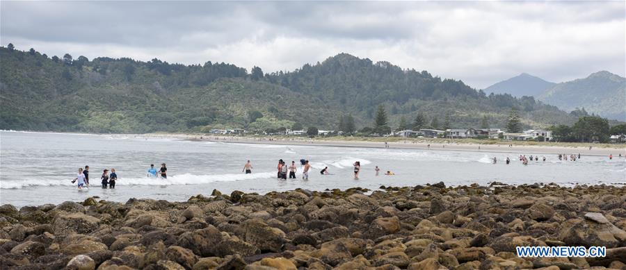 NEW ZEALAND-COROMANDEL PENINSULA-WHANGAMATA-HAUTURU ISLAND