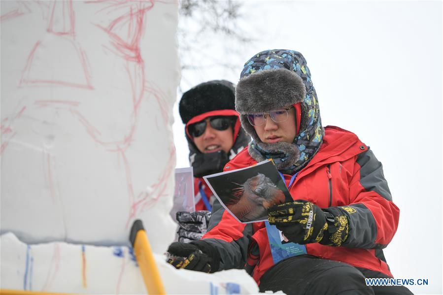 CHINA-HARBIN-INTERNATIONAL COLLEGE STUDENTS-SNOW SCULPTURE COMPETITION (CN)
