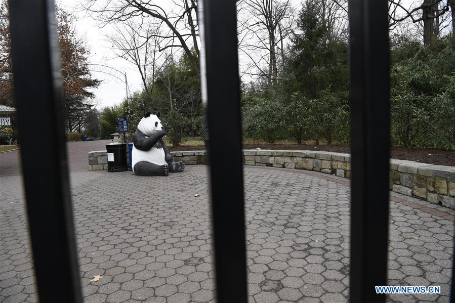 Americans outraged as National Zoo's panda cam goes dark amid gov't