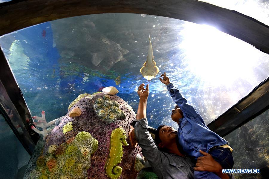 BANGLADESH-COX'S BAZAR-FISH-AQUARIUM