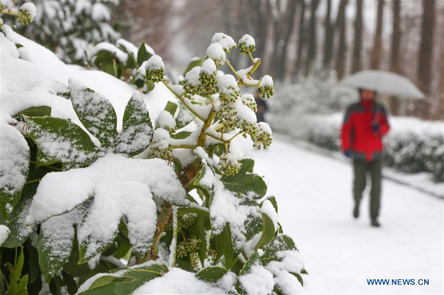 #CHINA-WEATHER-SNOW (CN)