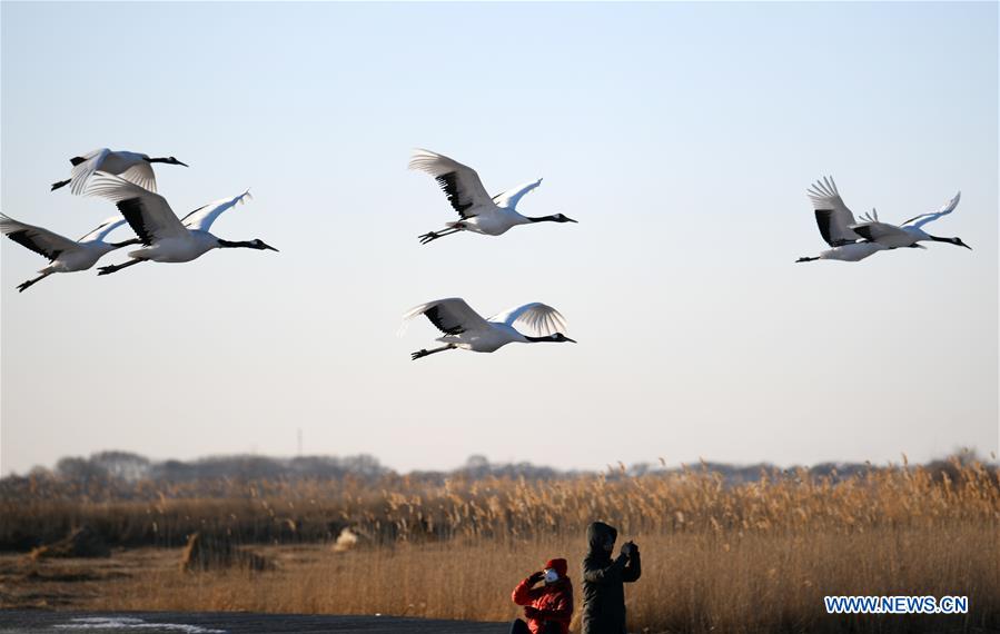 XINHUA PHOTOS OF THE DAY