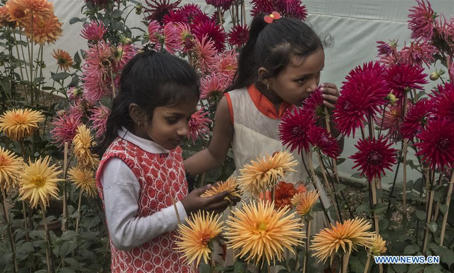 INDIA-KOLKATA-FLOWER SHOW