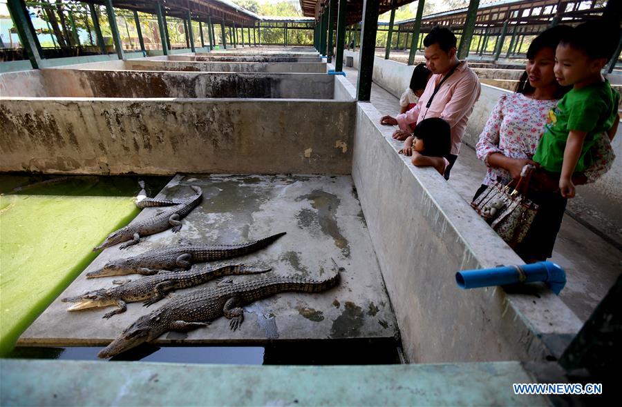 MYANMAR-YANGON-CROCODILE FARM