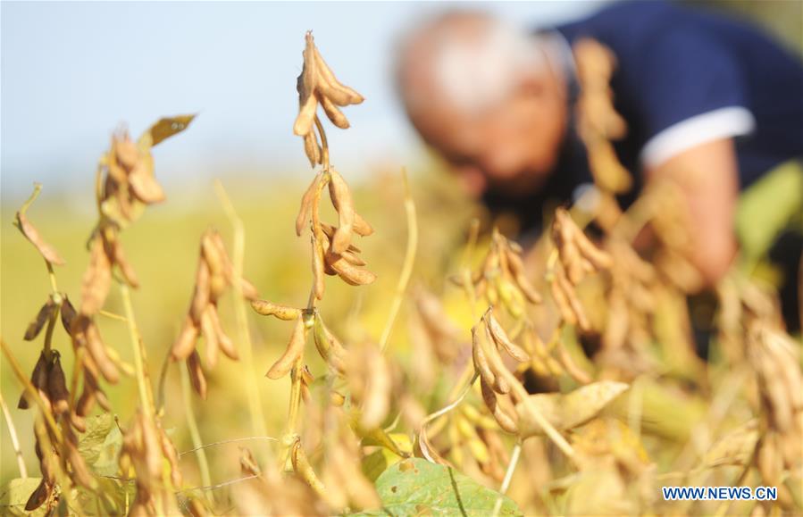 Xinhua Headlines: China braces for "tough tasks" in rural development 