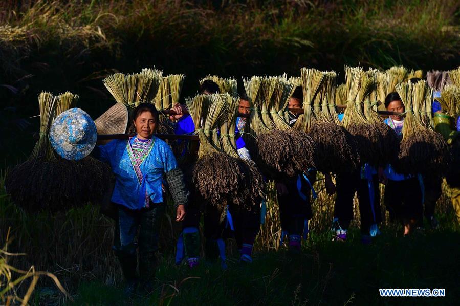 Xinhua Headlines: China braces for "tough tasks" in rural development 