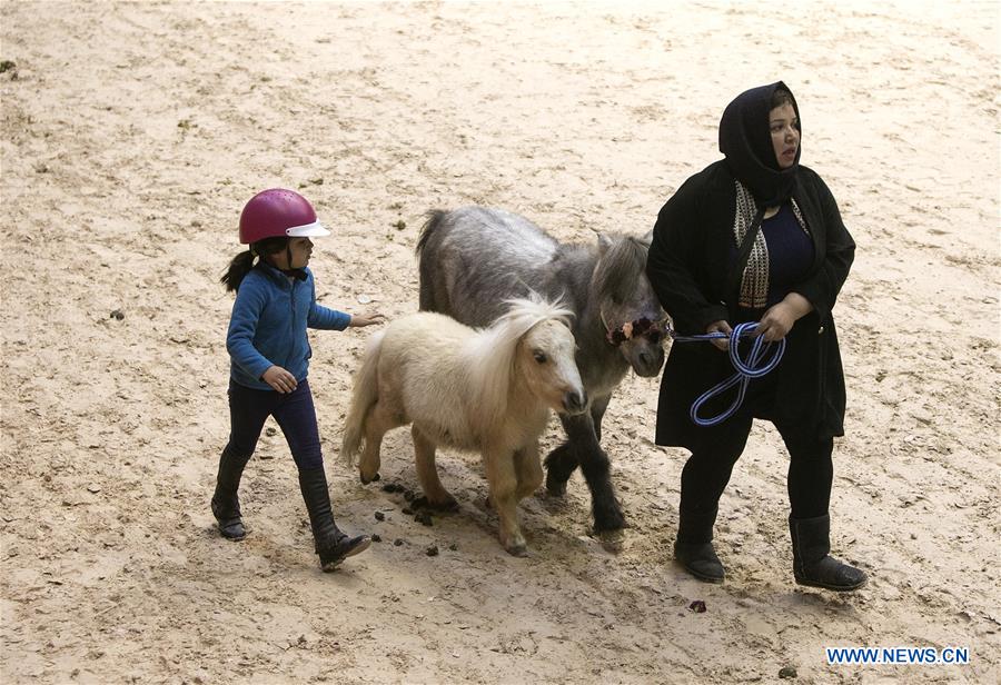 IRAN-TEHRAN-HORSE FESTIVAL